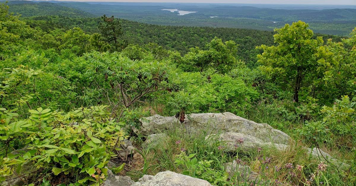 Crystal Mountain Dispersed Camping | Paron, Arkansas