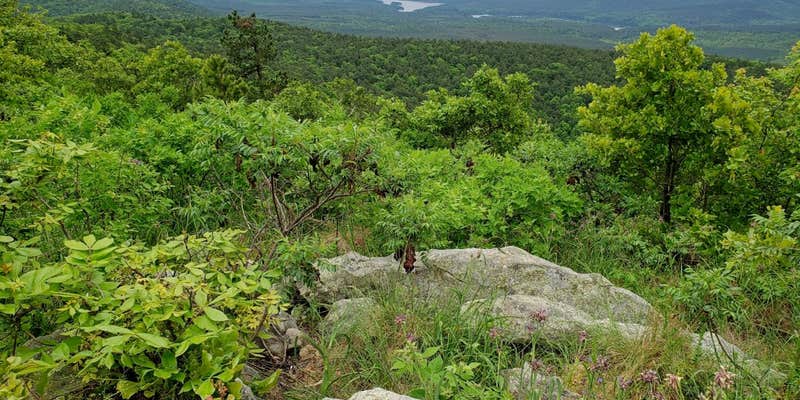 Camper submitted image from Crystal Mountain Dispersed