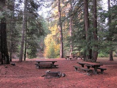 Camper submitted image from Kaner Flat Campground - 4