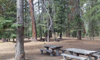 Camping near Halfway Flat Campground: Kaner Flat Campground, Goose Prairie, Washington