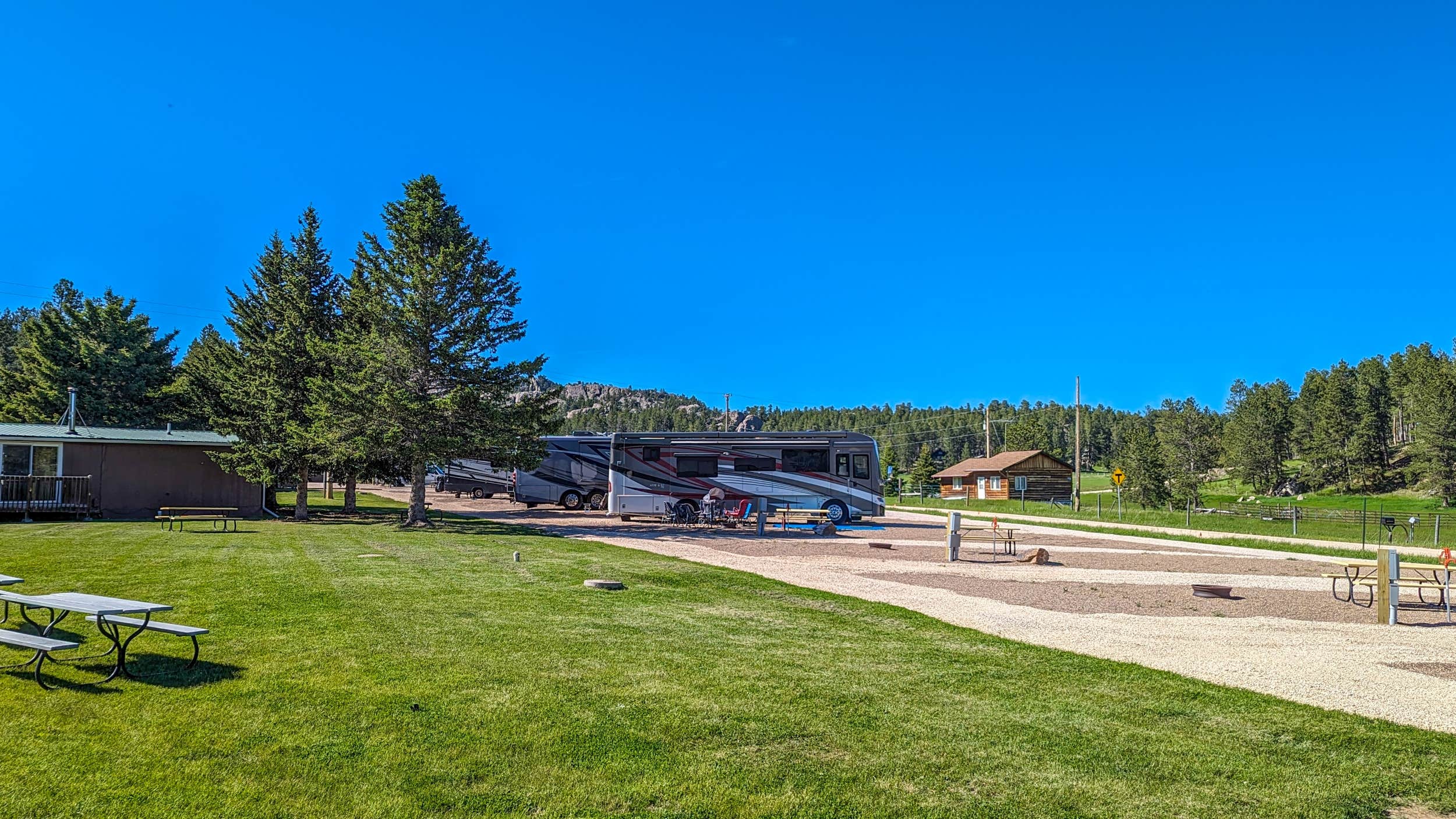 MIKE L.'s photo of camping with pets at Gold Valley Camp near Custer, SD