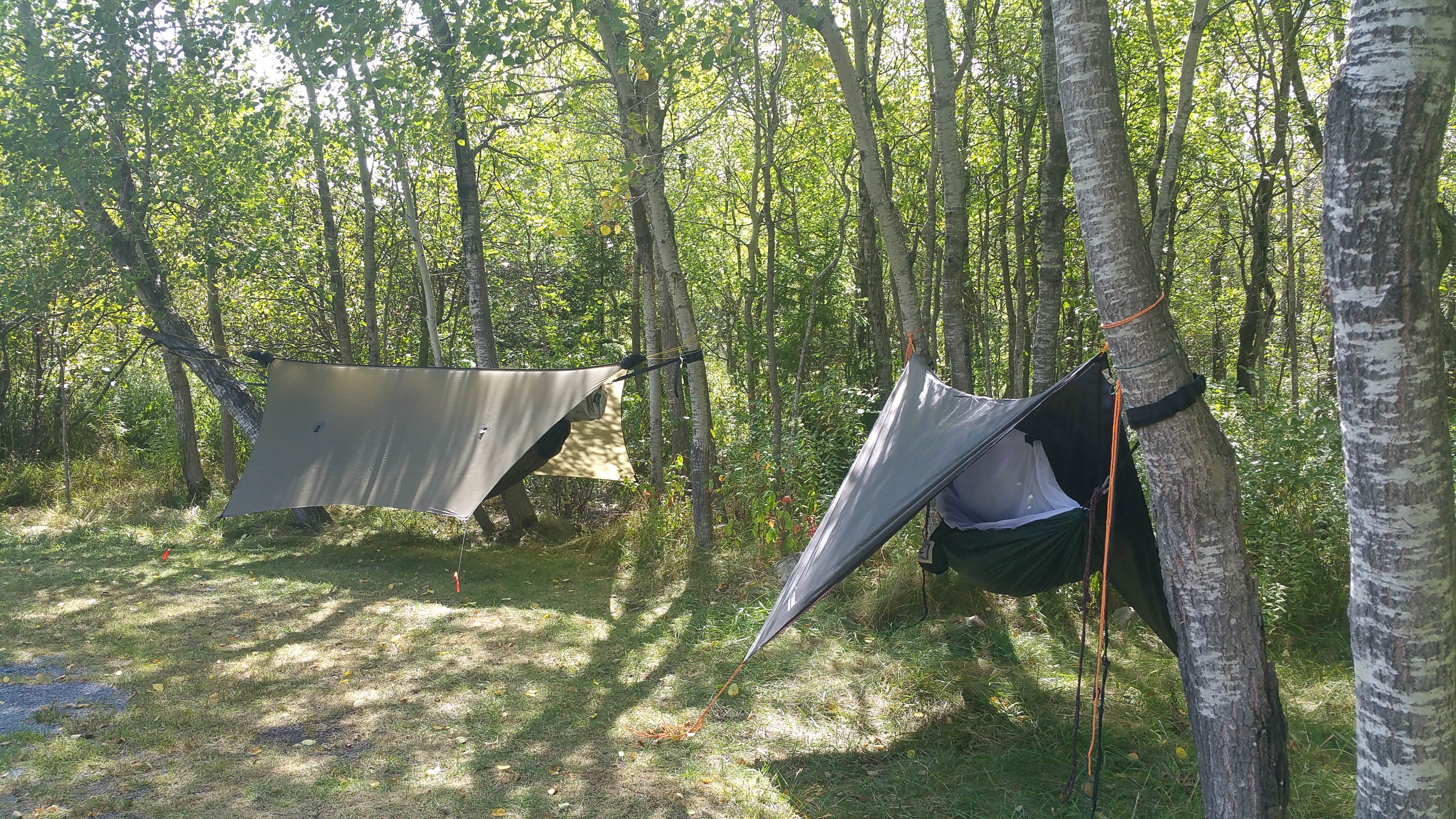 Justin S.'s photo at Red Creek Campground near Cabins, WV