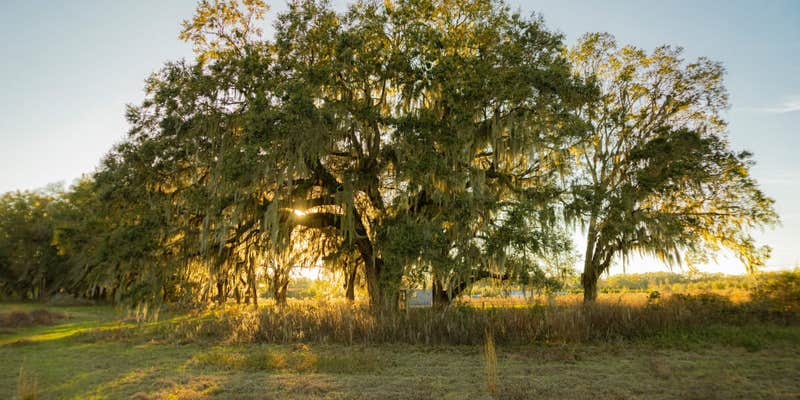 Camper submitted image from Dreamin___n___Driftin___ RV Resort