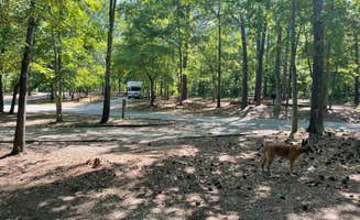 Mike B.'s photo of camping with pets at Lawrence Shoals Campground in Georgia