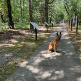 Review photo of Lawrence Shoals Campground by Mike B., June 22, 2024