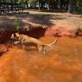 Review photo of Lawrence Shoals Campground by Mike B., June 22, 2024