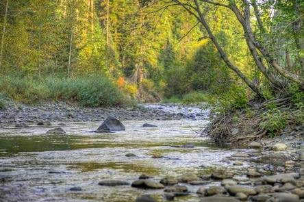 Camper submitted image from Little Naches Campground - 3