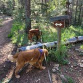 Review photo of Black Canyon Campground by Texas Roving Ranger , June 22, 2024