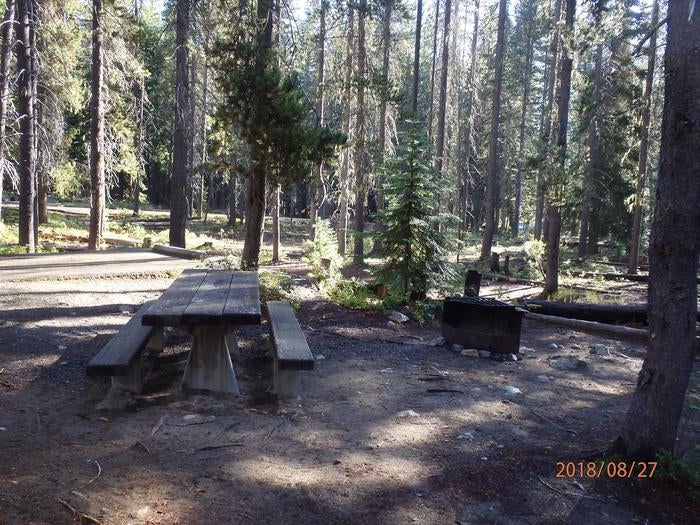 Camper submitted image from Lodgepole Campground (washington) - 3
