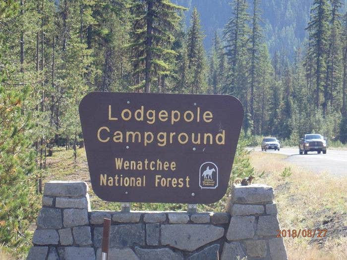 Camper submitted image from Lodgepole Campground (washington) - 5