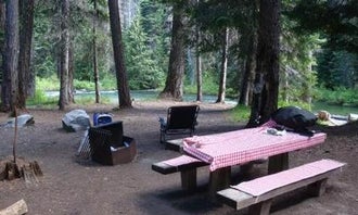 Camping near Halfcamp Trailhead: Lodgepole Campground (washington), Goose Prairie, Washington