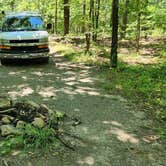 Review photo of FR132 Small Dispersed, Ouachita NF, AR by Fred S., June 22, 2024