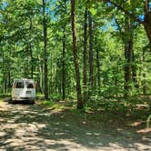 Review photo of FR132 Small Dispersed, Ouachita NF, AR by Fred S., June 22, 2024