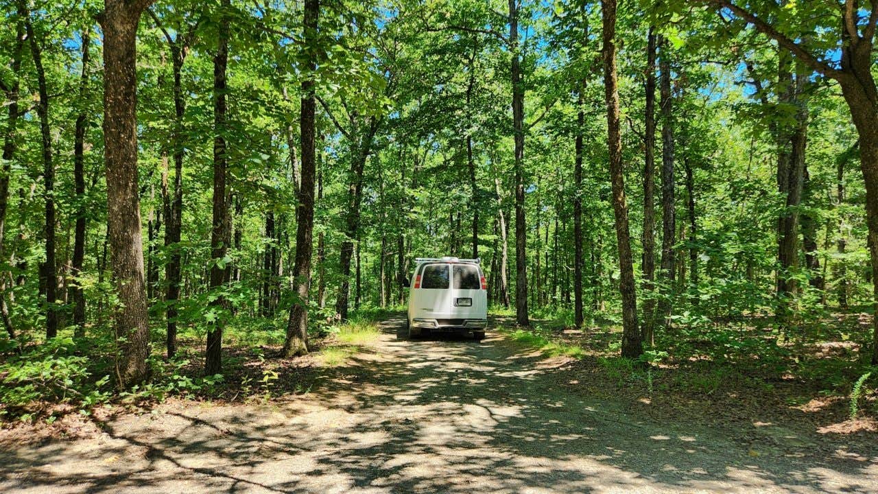 Camper submitted image from FR132 Small Dispersed, Ouachita NF, AR - 3