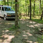 Review photo of FR132 Small Dispersed, Ouachita NF, AR by Fred S., June 22, 2024