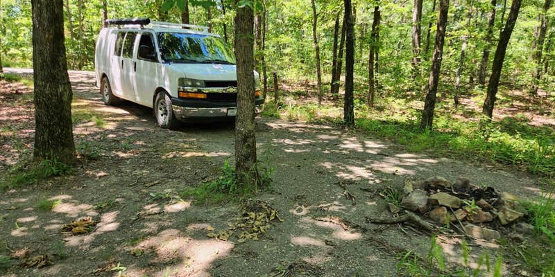 Camper submitted image from FR132 Small Dispersed, Ouachita NF, AR