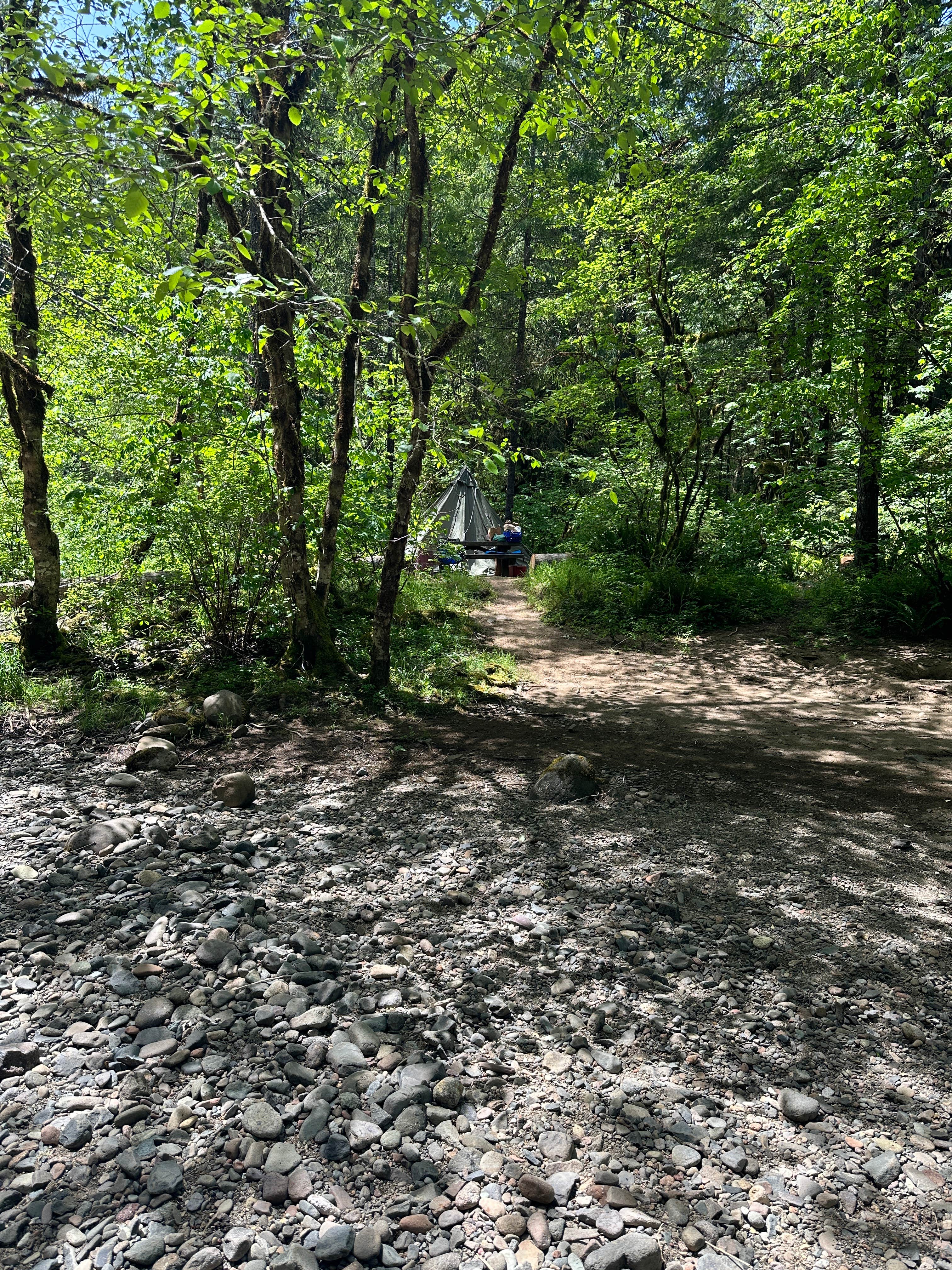 Camper-submitted photo at White Creek near Idleyld Park, OR