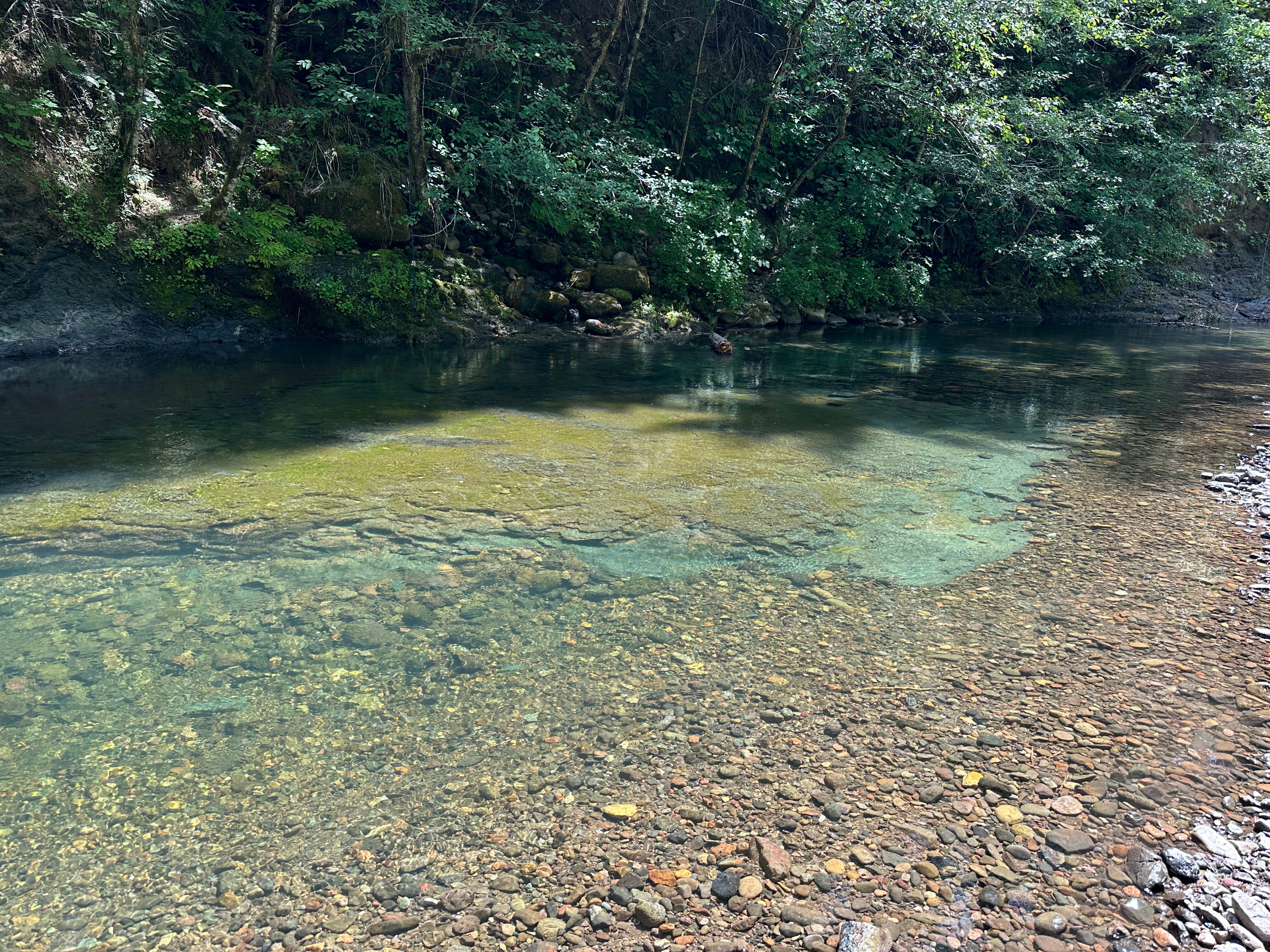 Camper-submitted photo at White Creek near Idleyld Park, OR