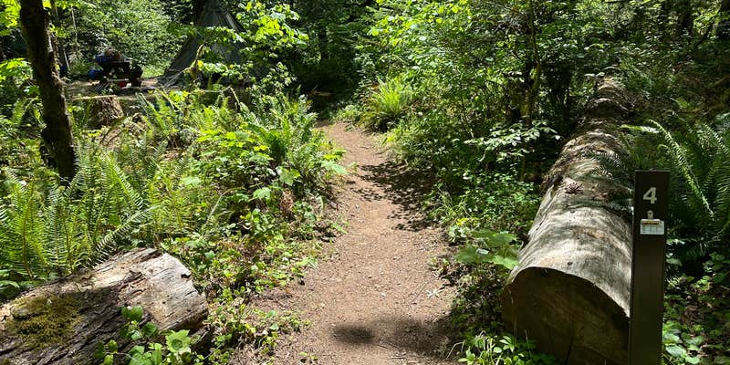 Camper submitted image from White Creek