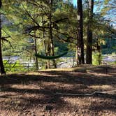 Review photo of Umpqua National Forest Steamboat Falls Campground by Stephen T., June 22, 2024