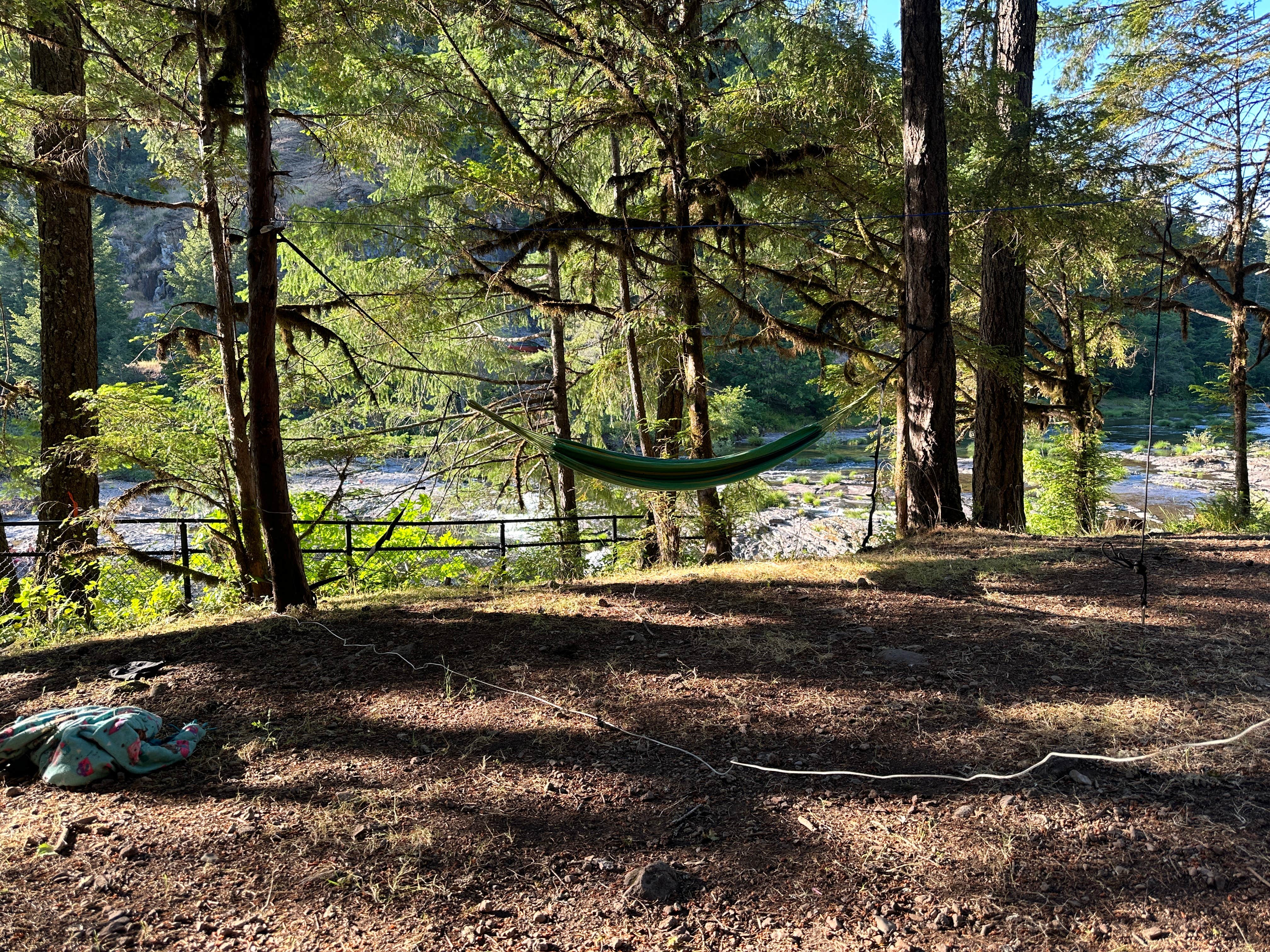 Camper submitted image from Umpqua National Forest Steamboat Falls Campground - 5