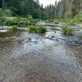 Review photo of Umpqua National Forest Steamboat Falls Campground by Stephen T., June 22, 2024