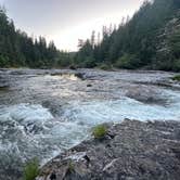 Review photo of Umpqua National Forest Steamboat Falls Campground by Stephen T., June 22, 2024