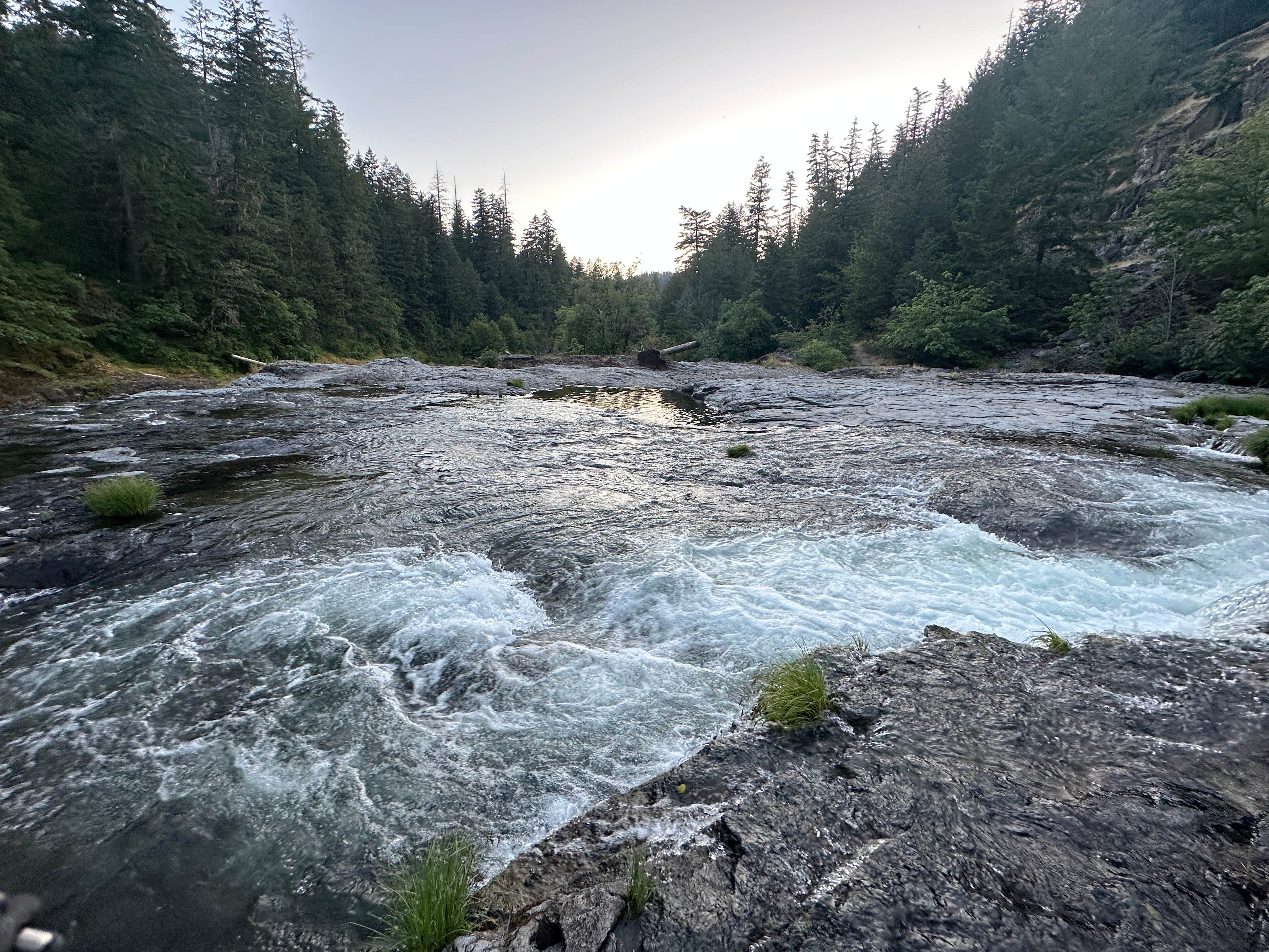 Camper submitted image from Umpqua National Forest Steamboat Falls Campground - 2