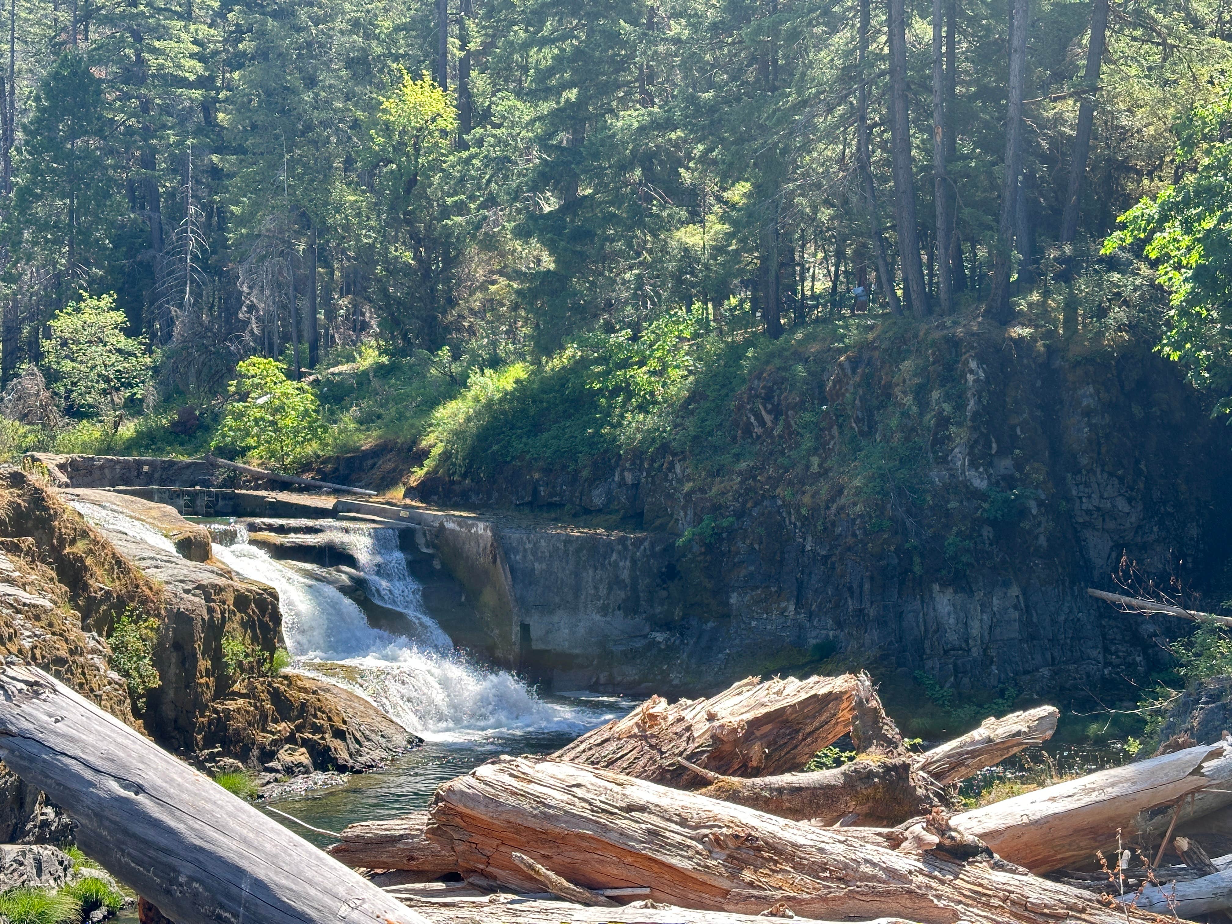 Camper-submitted photo at Umpqua National Forest Steamboat Falls Campground near Clearwater, OR
