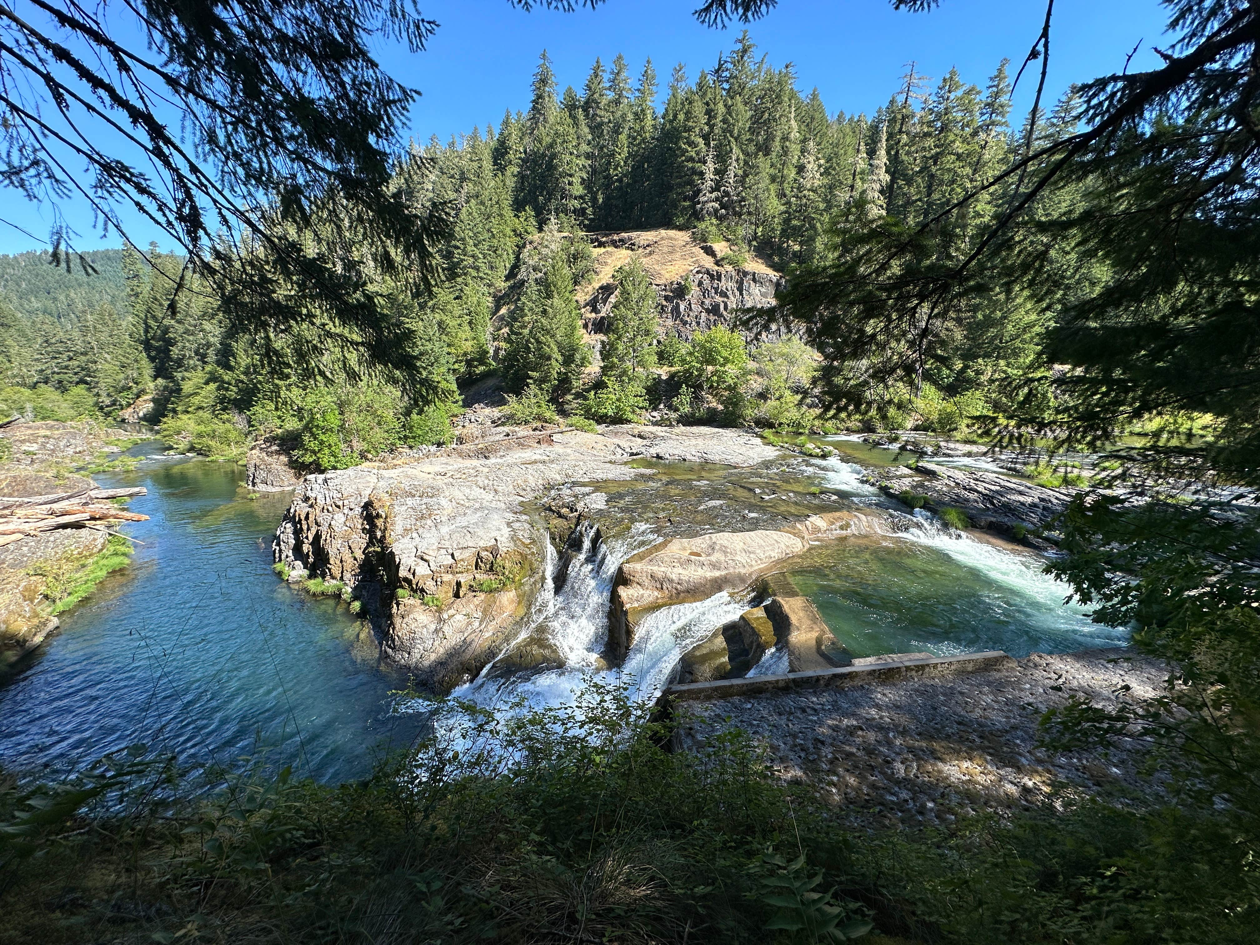 Camper-submitted photo at Umpqua National Forest Steamboat Falls Campground near Clearwater, OR