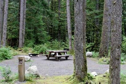 Camper submitted image from Middle Fork Campground - 3