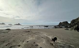 Stephen T.'s photo of camping with pets at Harris Beach State Park Campground near Brookings, OR