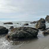 Review photo of Harris Beach State Park Campground by Stephen T., June 23, 2024