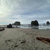 Review photo of Harris Beach State Park Campground by Stephen T., June 23, 2024