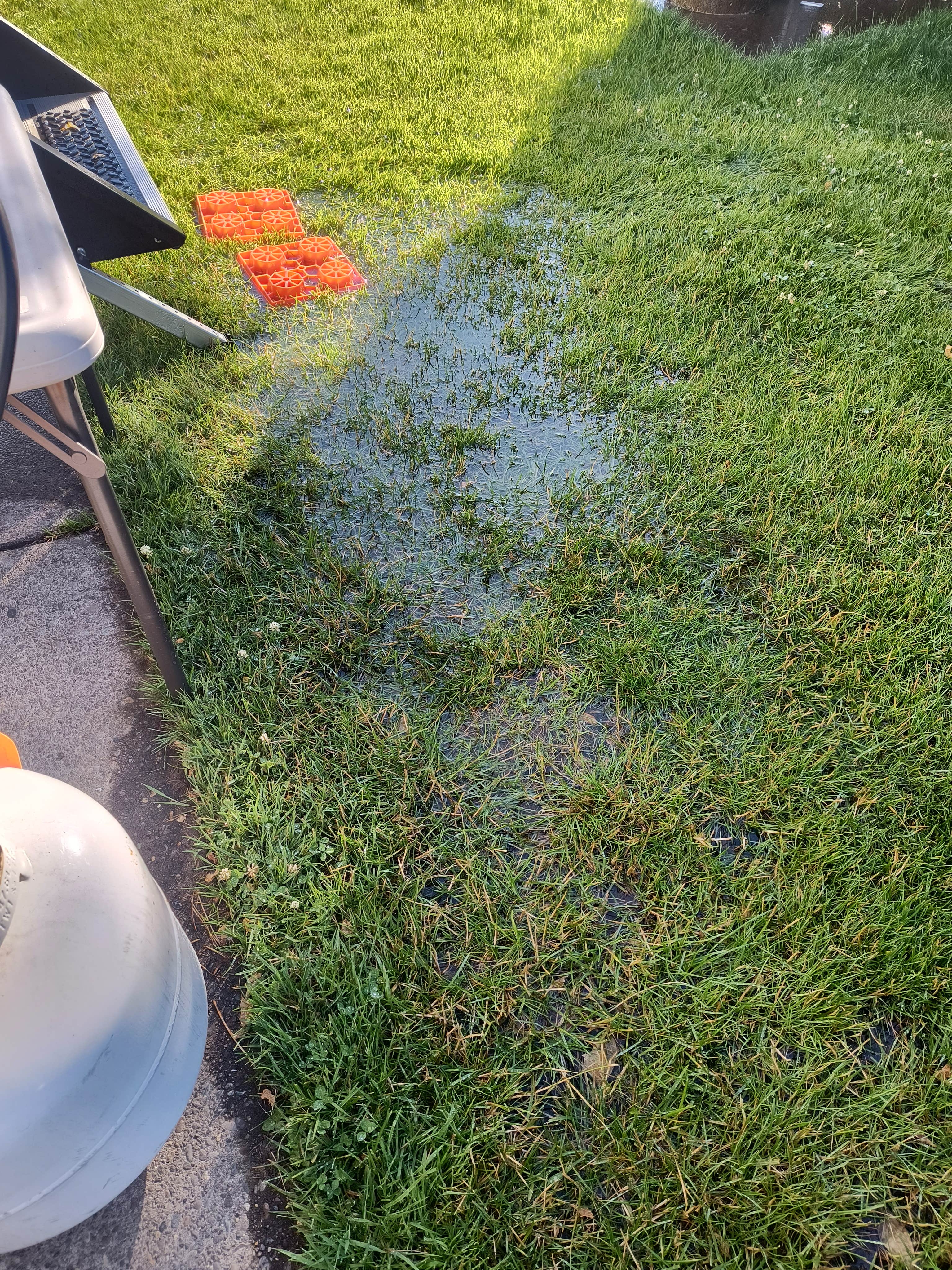 Camper-submitted photo at Premier RV Resort near Adair Village, OR