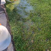 Review photo of Premier RV Resort by Darren J., June 23, 2024