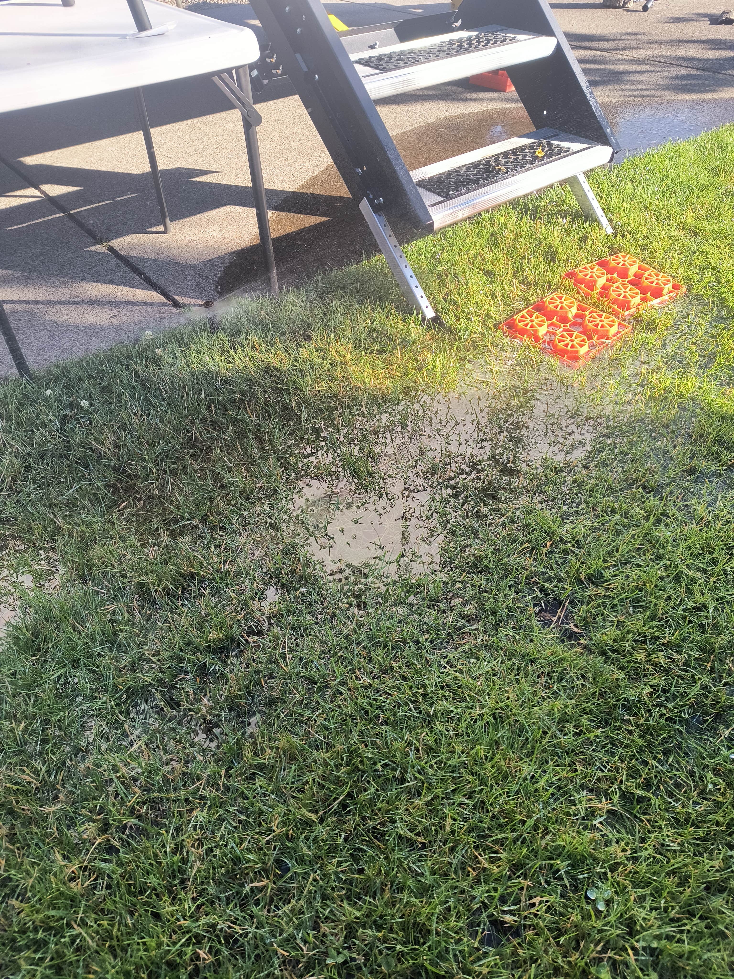 Camper-submitted photo at Premier RV Resort near Adair Village, OR