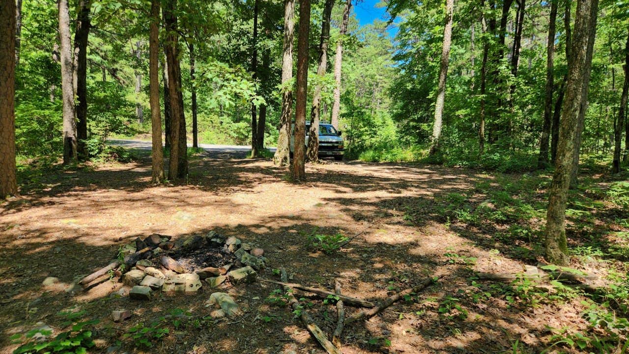 Camper submitted image from FR132/152 T-Junction Dispersed, Ouachita NF, AR - 3