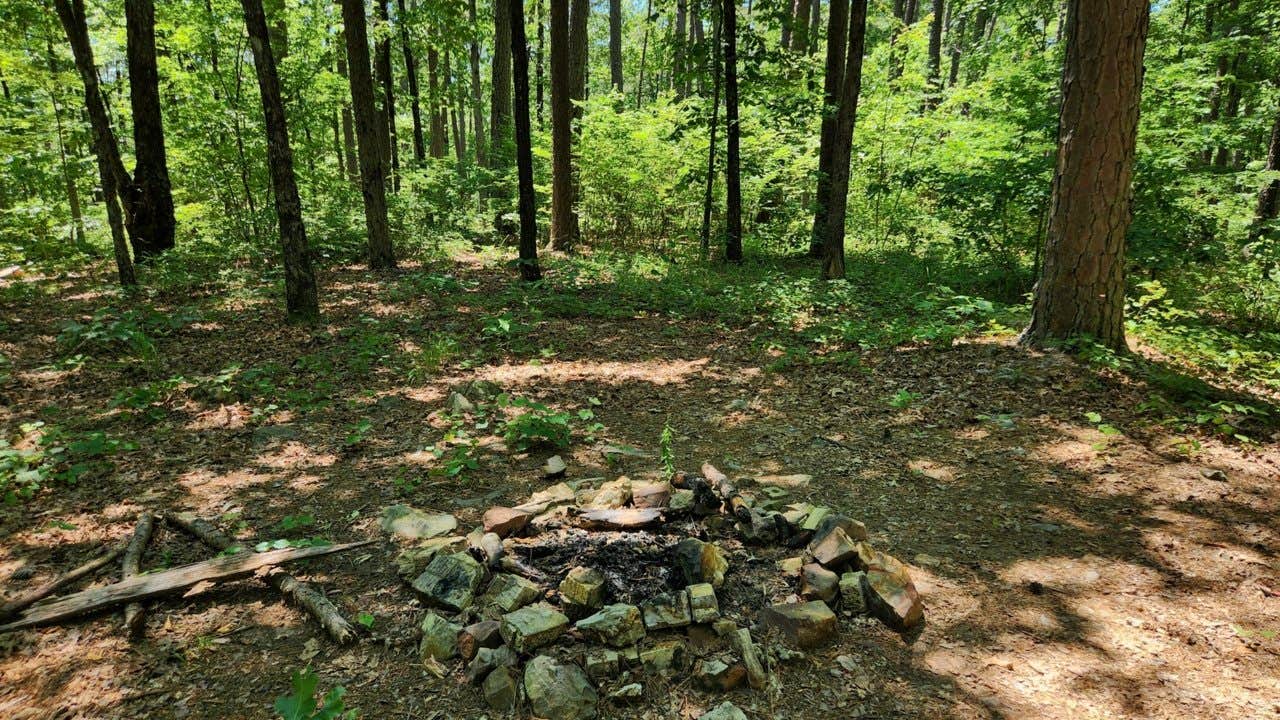 Camper-submitted photo at FR132/152 T-Junction Dispersed, Ouachita NF, AR near Morrilton, AR
