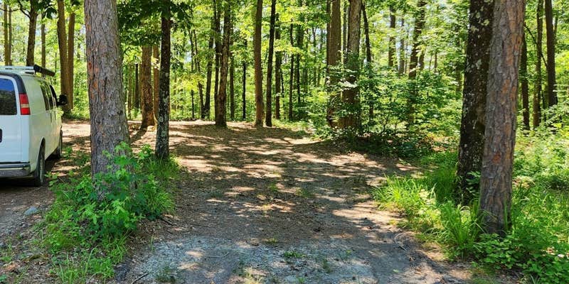 Camper submitted image from FR132/152 T-Junction Dispersed, Ouachita NF, AR