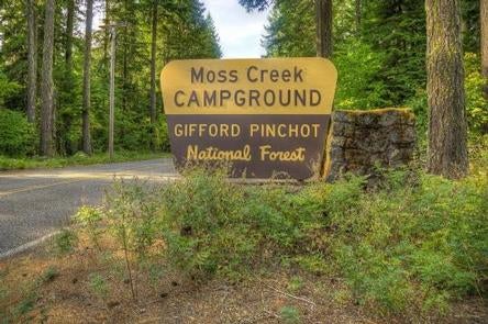 Camper submitted image from Moss Creek Campground - 5