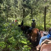 Review photo of Indian Creek Equestrian Campground by D. , June 23, 2024