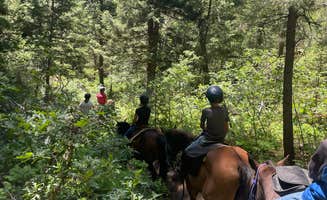 D.'s photo of camping with a horse at Indian Creek Equestrian Campground near Westminster, CO