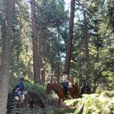 Review photo of Indian Creek Equestrian Campground by D. , June 23, 2024