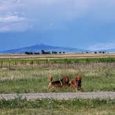 Review photo of Lake 13-Maxwell National Wildlife Refuge by Texas Roving Ranger , June 23, 2024