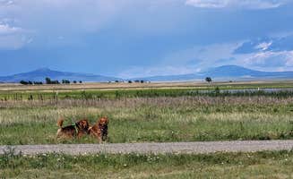 Texas Roving Ranger's photo of camping with pets at Lake 13-Maxwell National Wildlife Refuge near Capulin, NM