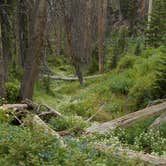 Review photo of Point Supreme Campground — Cedar Breaks National Monument by Michael K., September 14, 2016
