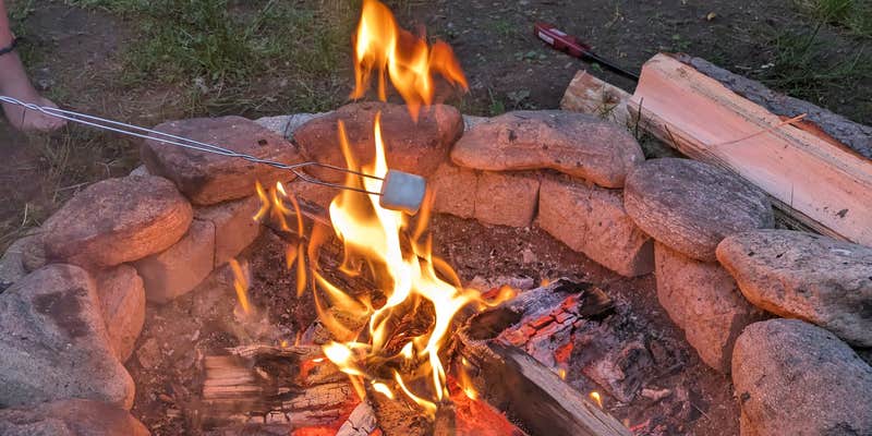 Camper submitted image from Peppermint Park Camping Resort