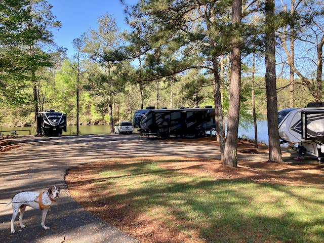 Camper-submitted photo at Clark Creek North Campground near Chattahoochee Hills, GA