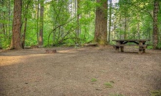 Camping near Tree House Tranquil A Tree - Romantic Escape: Oklahoma Campground, Trout Lake, Washington